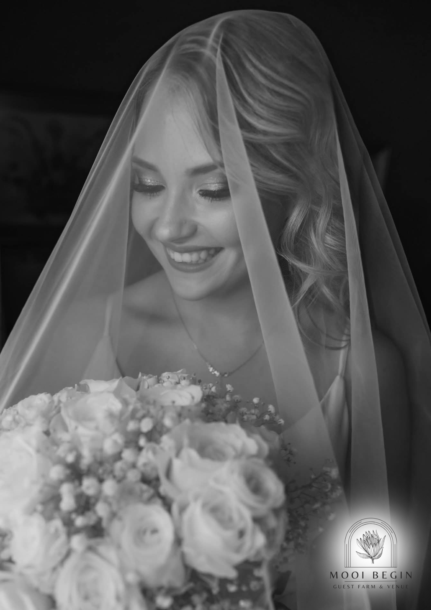 Mooi begin Image P4